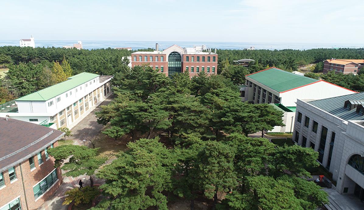 학술정보관 사진3